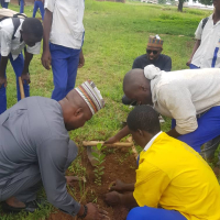 Secondary School Tree Planting Initiatives